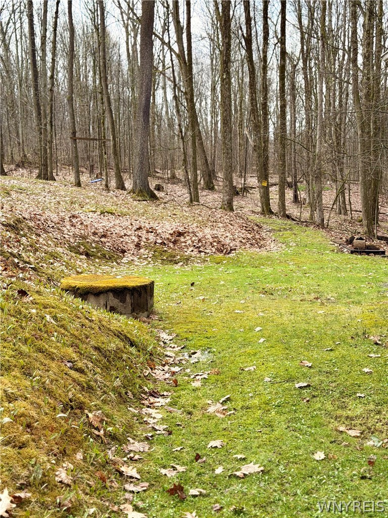 4771 Snow Brook Road Humphrey, NY 14741 - Photo 32 of 36