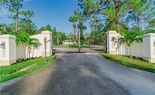 a view of a street with potted plants and large trees