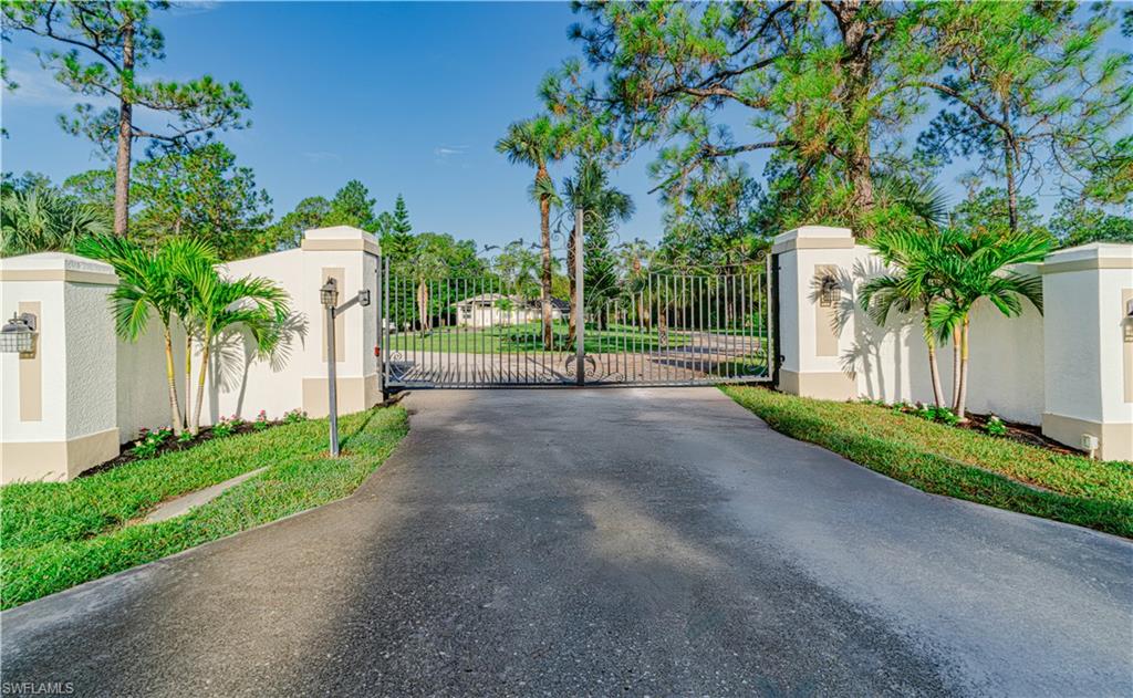 a view of a street with potted plants and large trees