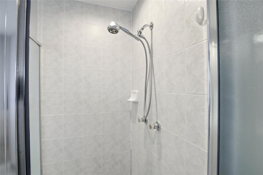 24644 Laurel Ridge Drive Lutz, FL 33559 - Photo 24 of 42 a bathroom with a glass shower door