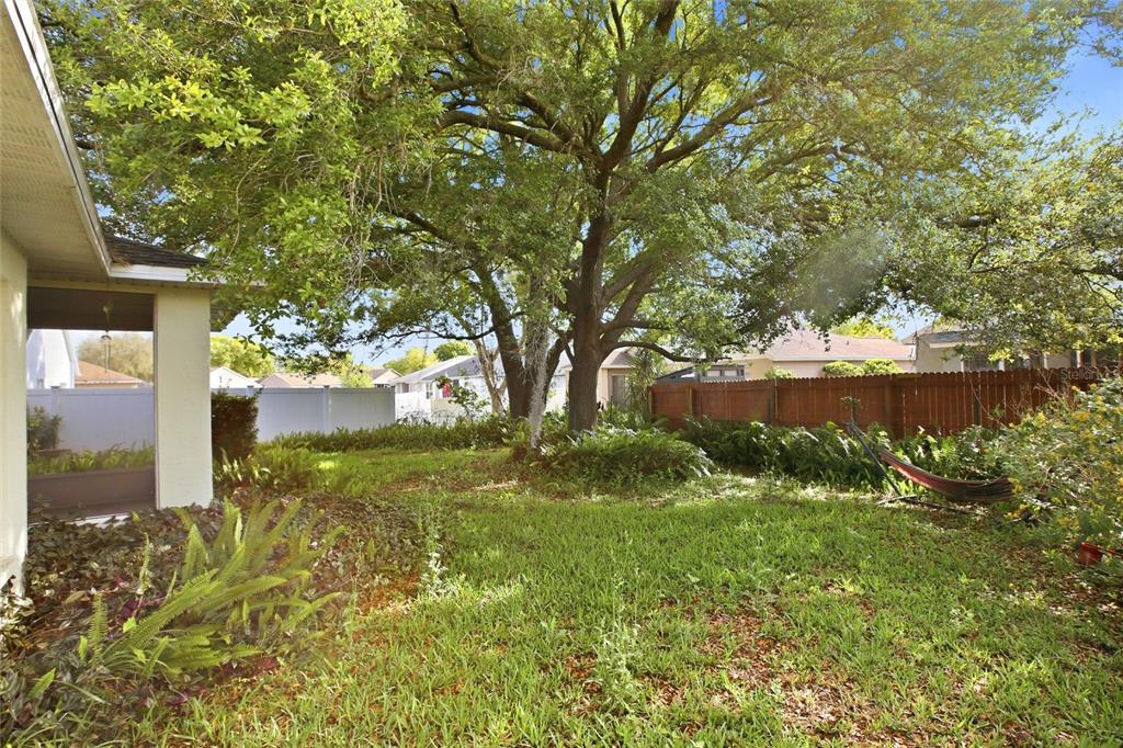 24644 Laurel Ridge Drive Lutz, FL 33559 - Photo 36 of 42 a view of yard with green space