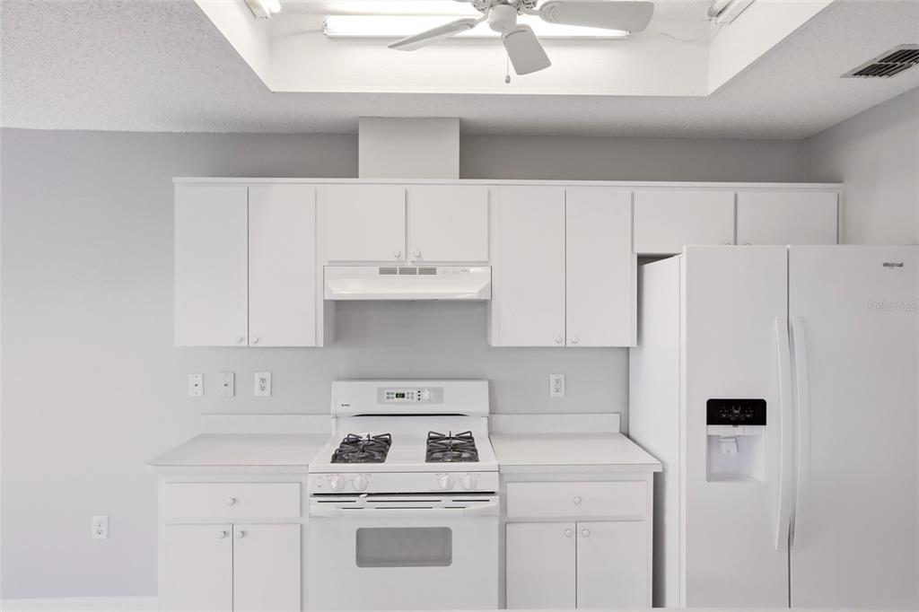 24644 Laurel Ridge Drive Lutz, FL 33559 - Photo 10 of 42 a white refrigerator freezer sitting inside of a kitchen