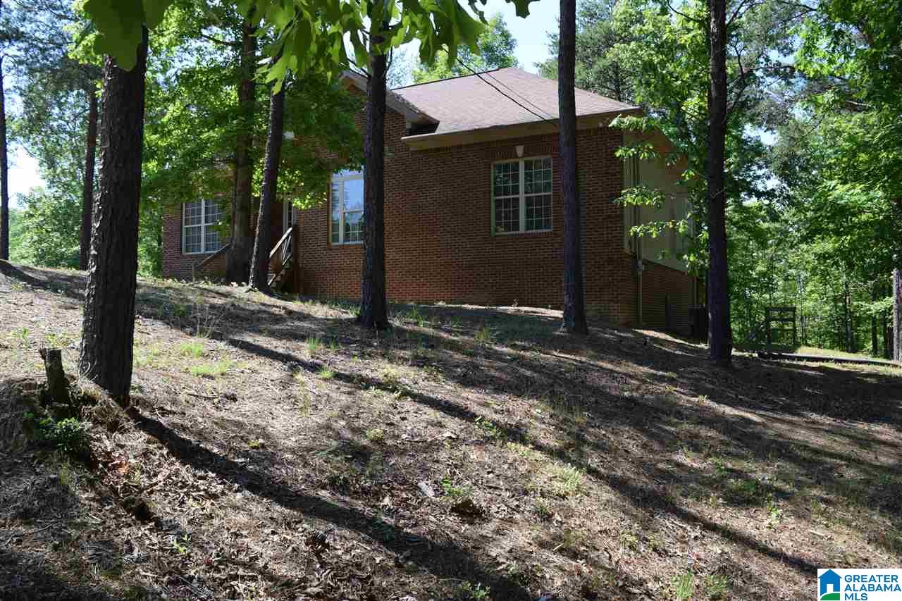 188 Blount Ridge Drive Warrior, AL 35180 - Photo 3 of 39