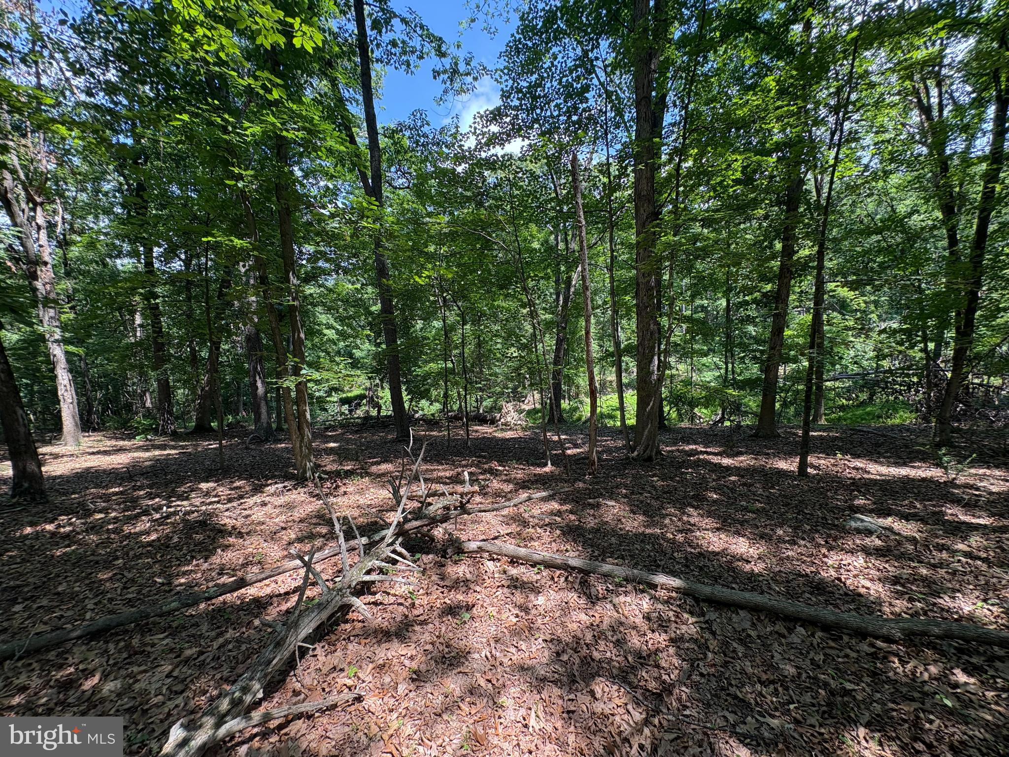 16 Rolling Acres Road Old Fields, WV 26845 - Photo 14 of 21
