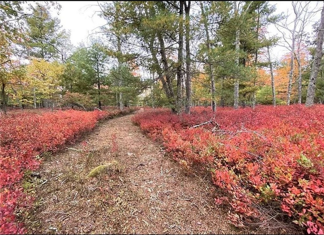 131 East Killingly Road Foster, RI 02825 - Photo 29 of 31