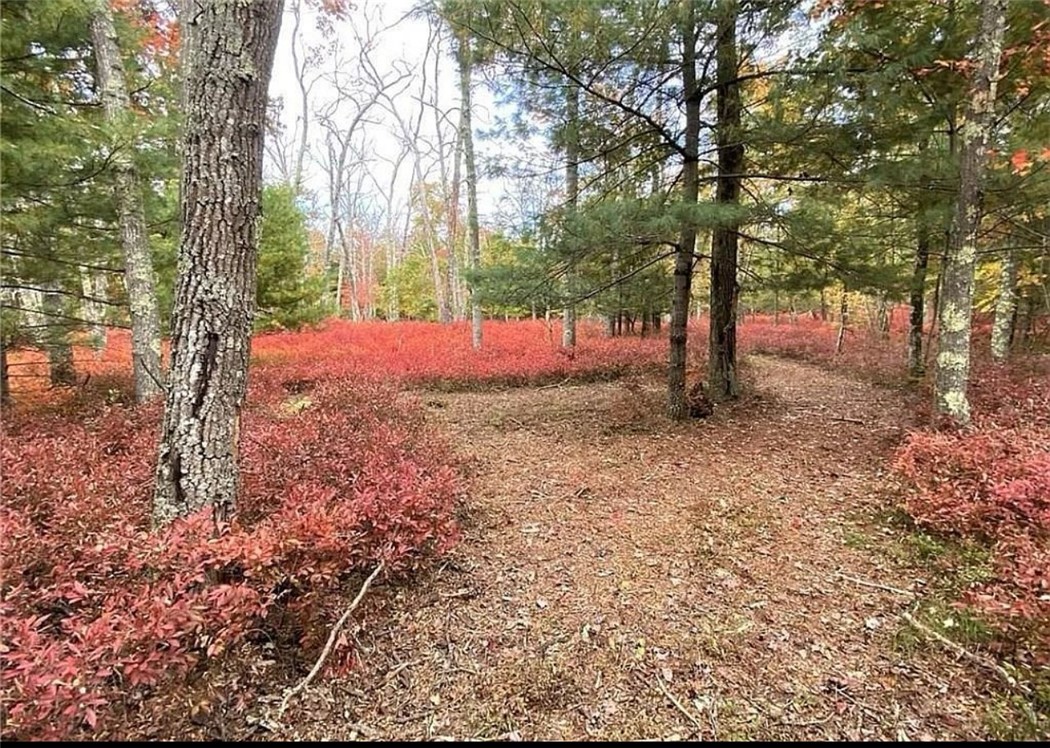 131 East Killingly Road Foster, RI 02825 - Photo 30 of 31
