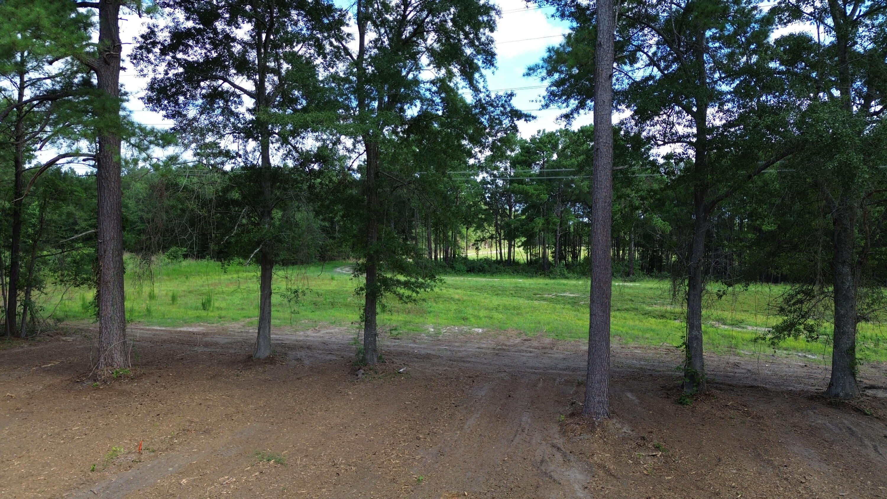 3 Trojan Road Cross, SC 29436 - Photo 15 of 21