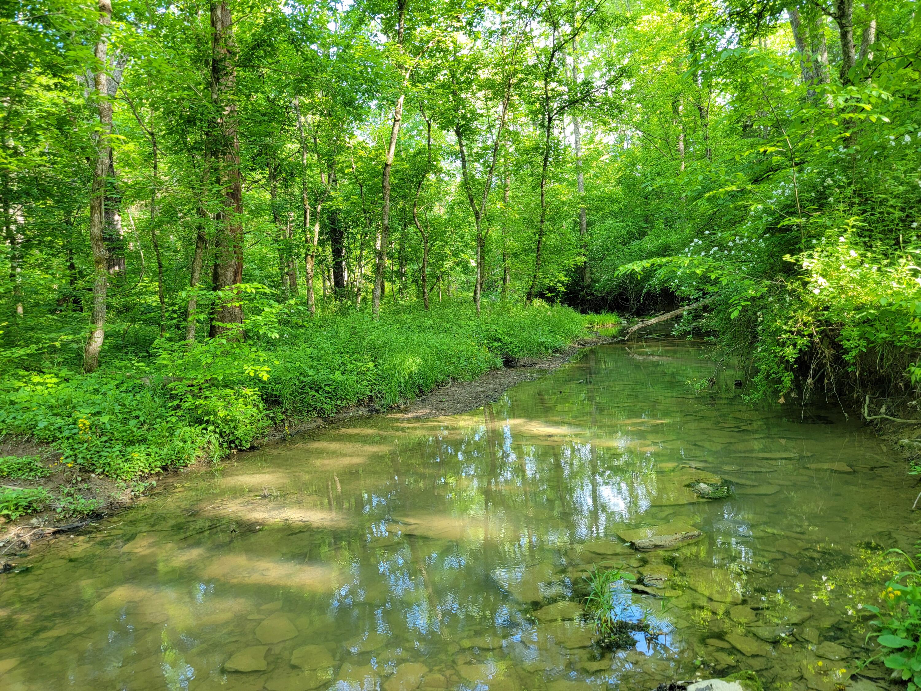 119-acres Keefer Road Corinth, KY 41010 - Photo 40 of 44 Gallery Image 40