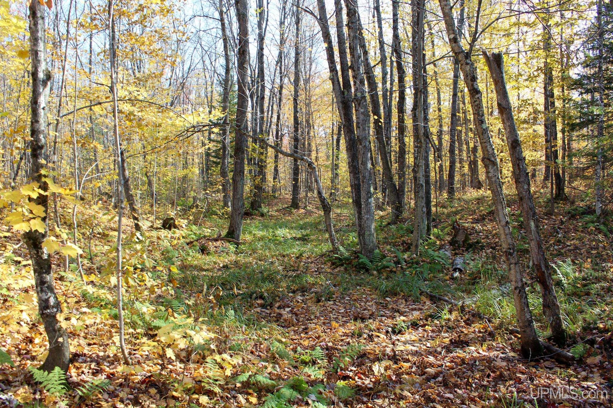 Tbd Pike River Road Chassell, MI 49916 - Photo 42 of 57 Gallery Image 42