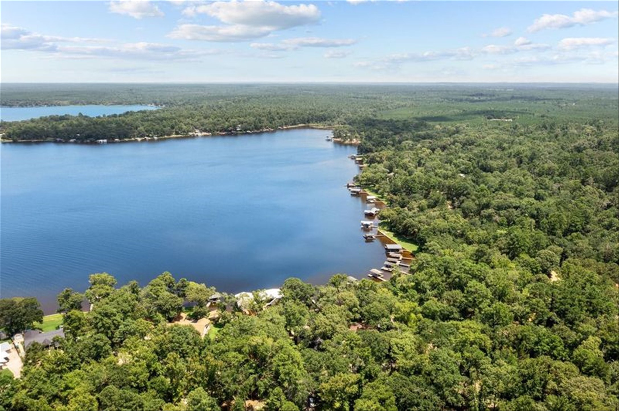 678 Sawmill Road Crockett, TX 75835 - Photo 28 of 29 a view of a lake with a yard