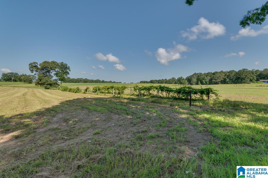 466 County Road 368 Verbena, AL 36091 - Photo 35 of 41