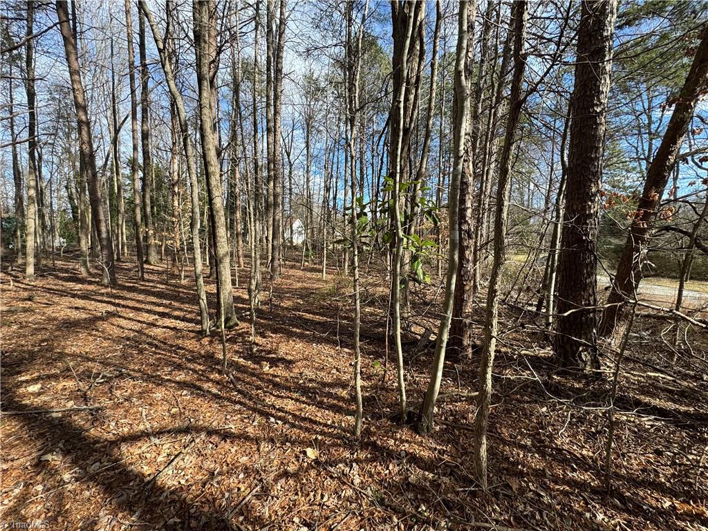 4601 Harwood Road Greensboro, NC 27406 - Photo 4 of 5