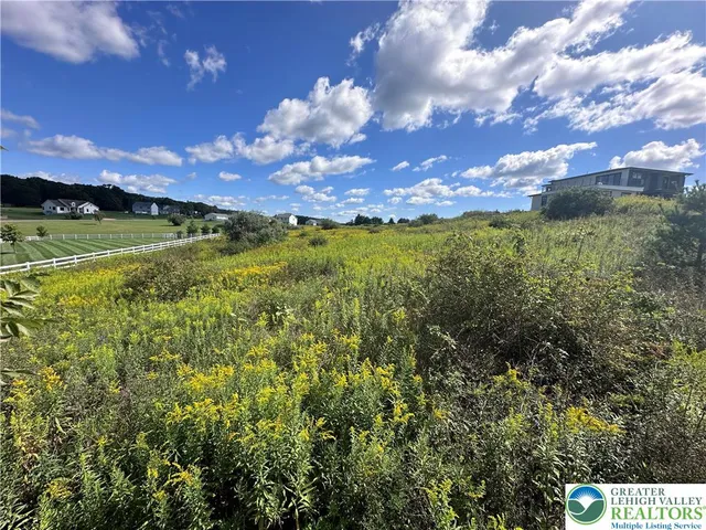 a view of a houses with a lush green forest