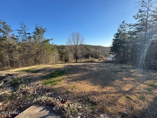 65 Rhodes Lane Benton, MS 39039 - Photo 31 of 34 31