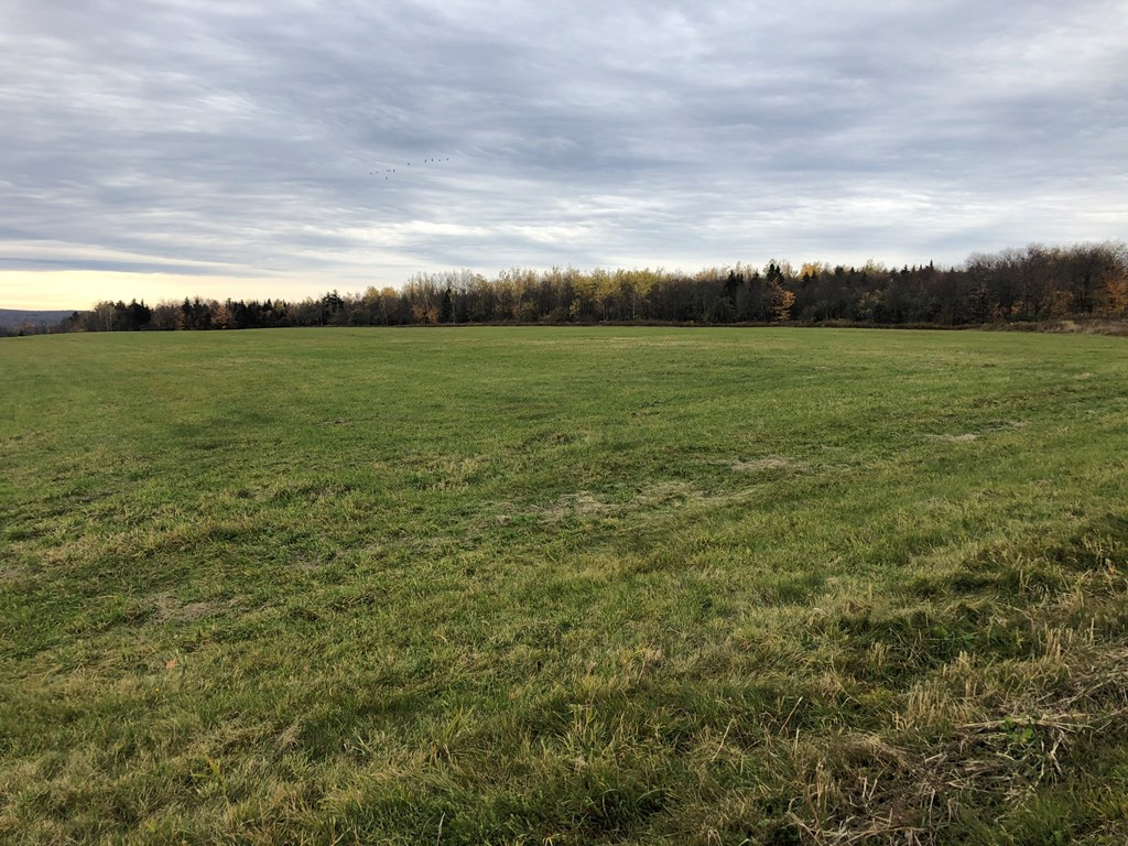 701 West Hill Road Ellenburg Center, NY 12934 - Photo 5 of 10 Gallery Image 5
