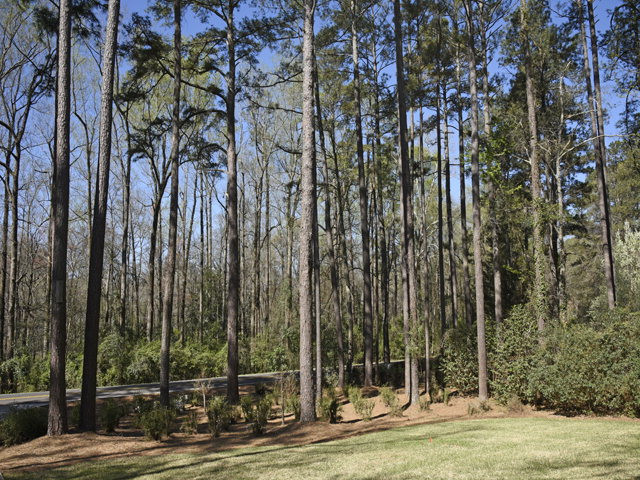 2081 Dibble Rd S West Aiken, SC 29801 - Photo 20 of 21