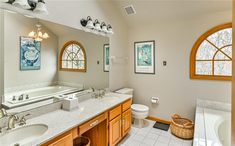 10120 Deer View Point Road Wexford, PA 15090 - Photo 12 of 24 The master bath provides a spa like feel with the light counters, skylight, oversized window to the wooded back yard, and custom chandelier.