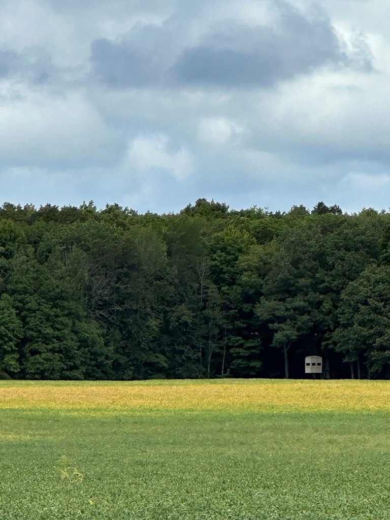 Hillside Road Egg Harbor, WI 54209 - Photo 3 of 6 Gallery Image 3