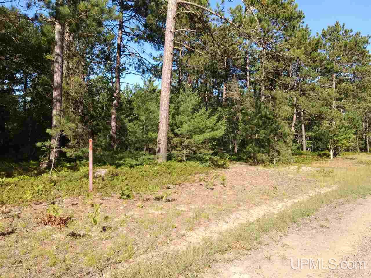 Unit 38-tbd Little Rice Lake Road, Unit 38 Lake Linden, MI 49945 - Photo 2 of 28