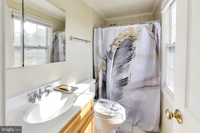 a view of livingroom with furniture window and a ceiling fan