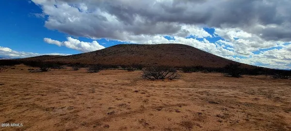 a view of a sky from a yard