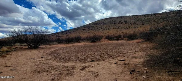 a view of a road with a yard