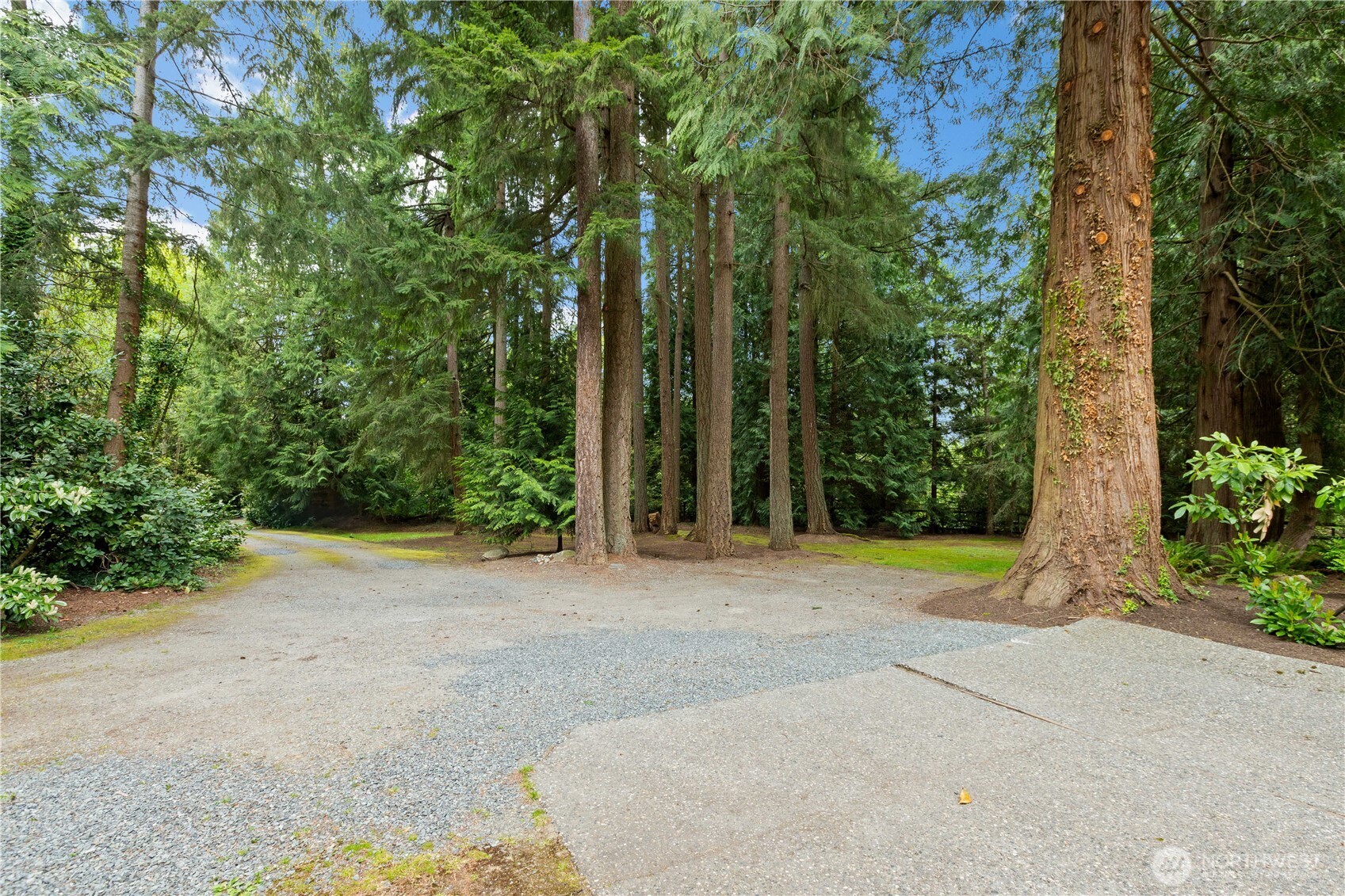 21521 47th Avenue Southeast Bothell, WA 98021 - Photo 35 of 40 a backyard of a house with plants and large trees
