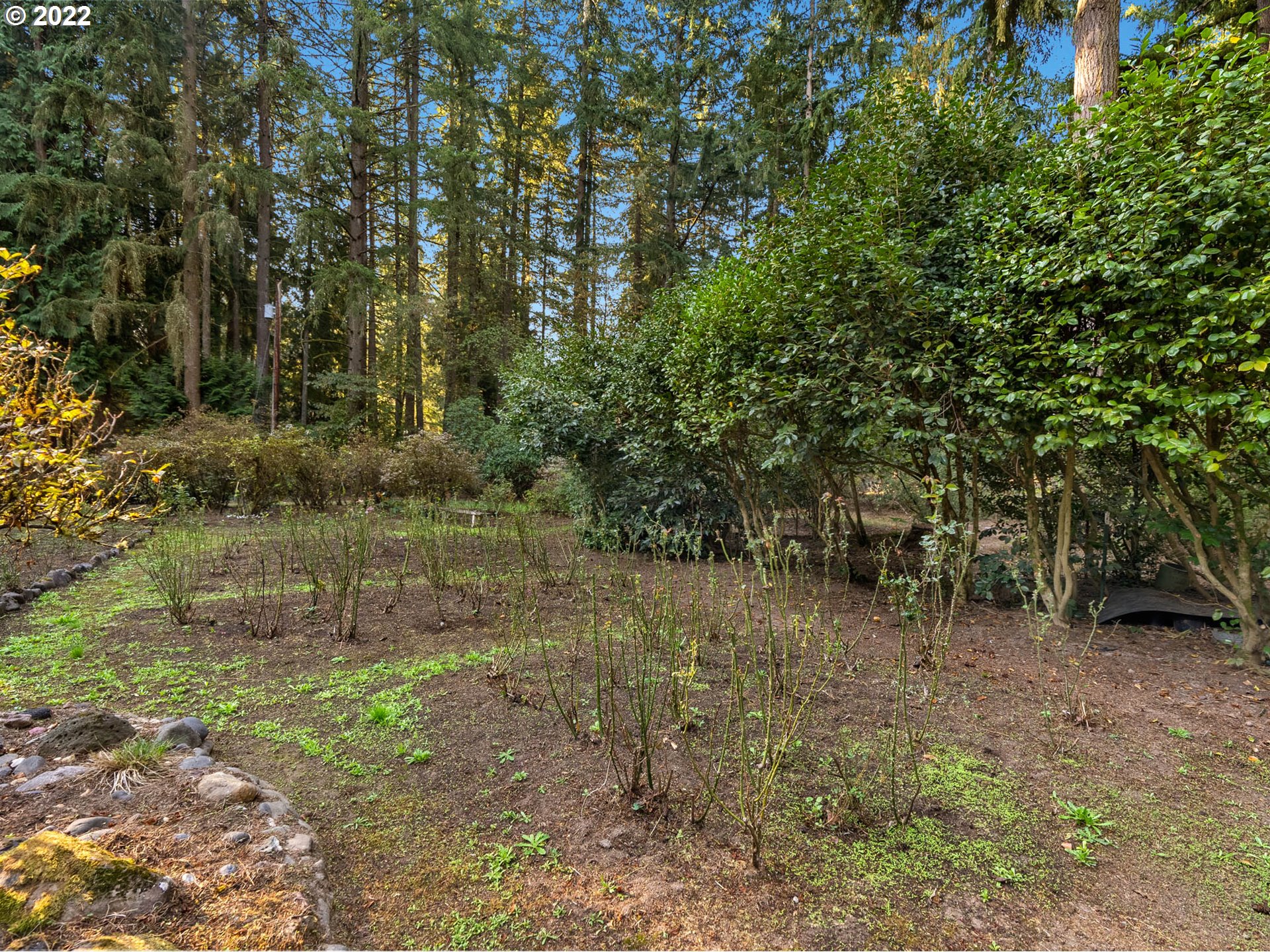 6200 Southwest River Road Hillsboro, OR 97123 - Photo 28 of 34 Yard