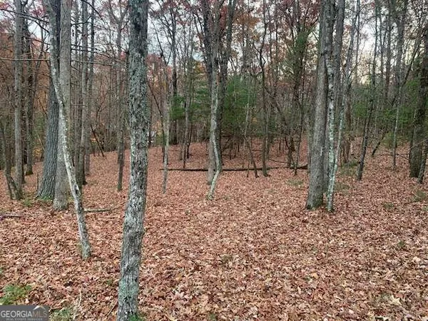 $39,000 | Lot 4 Courtney Lane, Blairsville, GA 30512