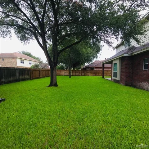 a view of a yard with a trees