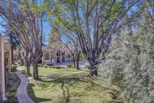 a view of a yard with large trees