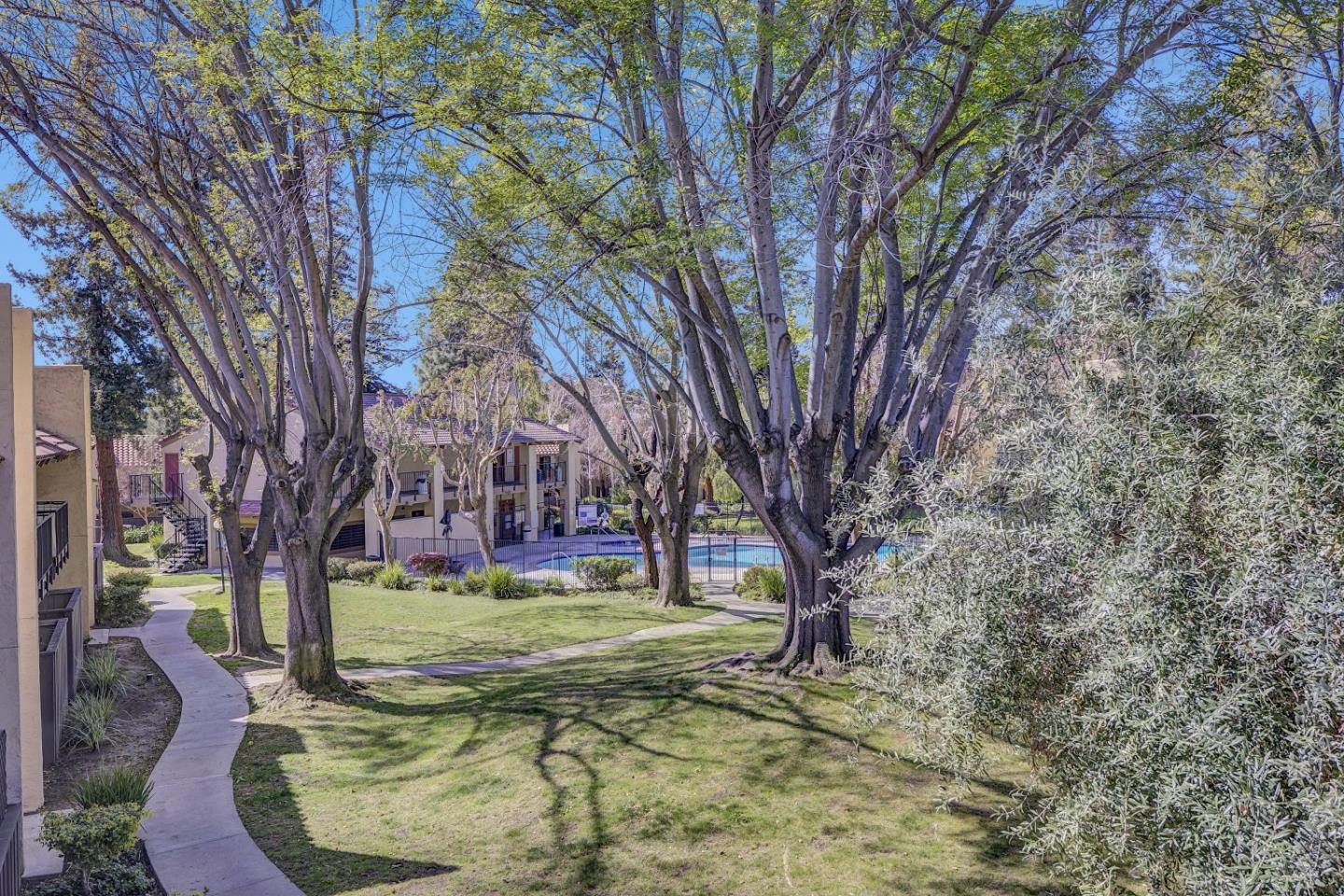 247 North Capitol Avenue, Unit 235 San Jose, CA 95127 - Photo 19 of 30 a view of a yard with large trees
