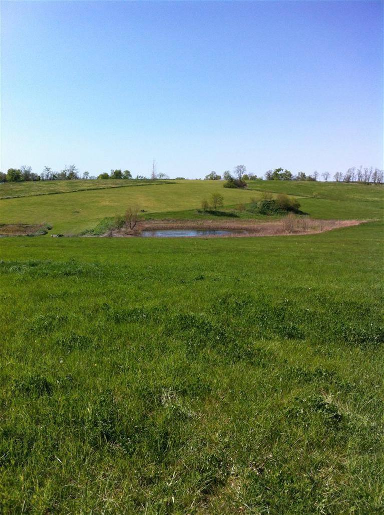 3748 Wades Mill Road Winchester, KY 40391 - Photo 6 of 10 Photo 6
