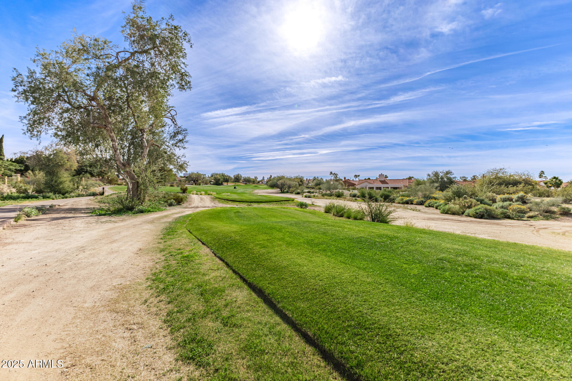 4055 North Recker Road Mesa, AZ 85215 - Photo 47 of 70 a view of a yard with an trees