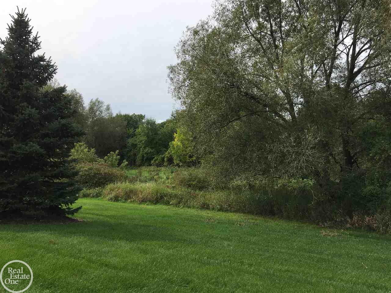 45763 Heather Ridge Drive Macomb, MI 48044 - Photo 27 of 28 31361739-26.JPG