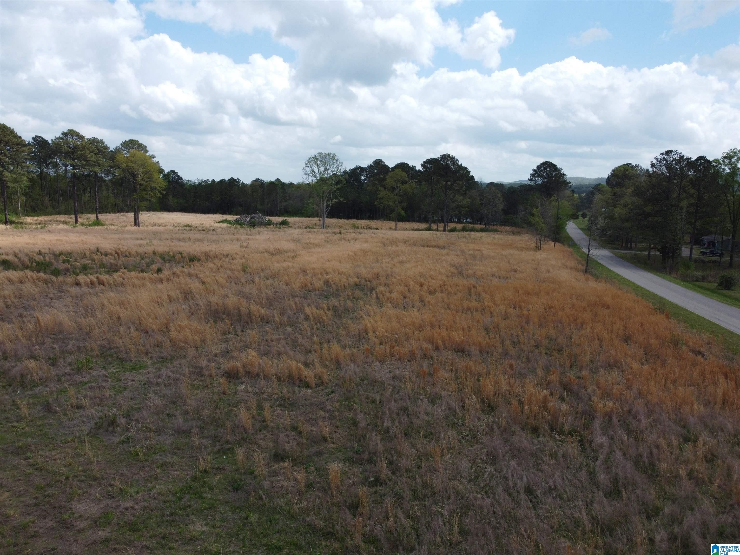0 Greensport Road Ashville, AL 35953 - Photo 21 of 43