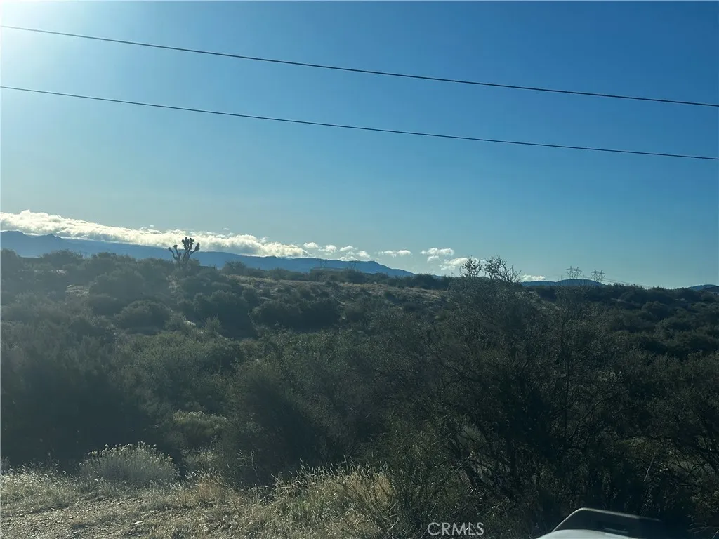 0 Alta Mesa Road Oak Hills, CA 92344 - Photo 3 of 6 a view of a yard