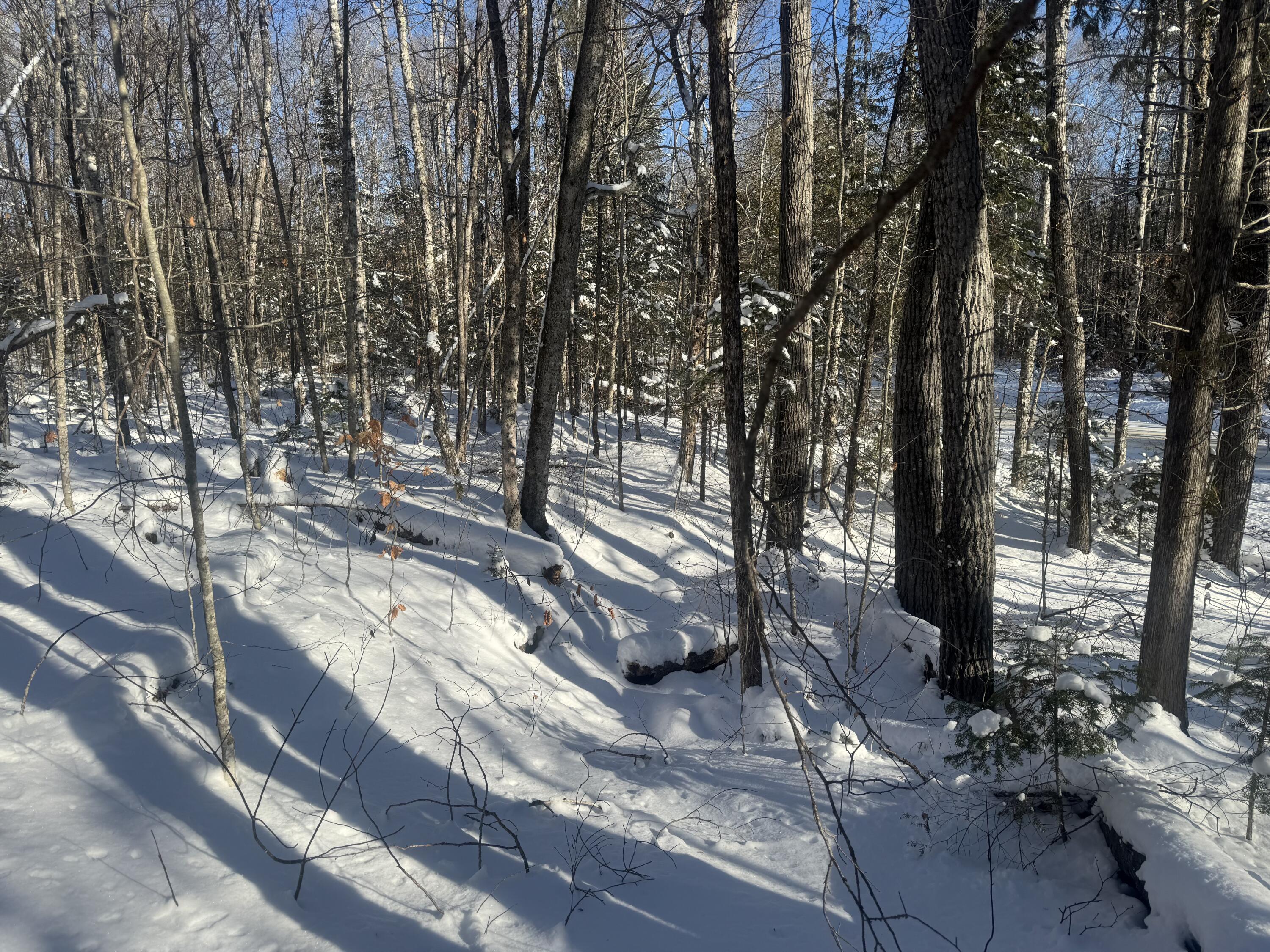 Lot 7 Curtis Farm Road Lincoln, ME 04457 - Photo 21 of 21