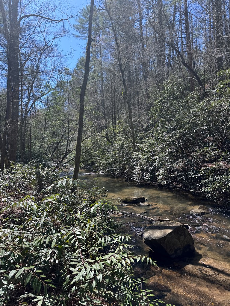 0 Virginia Lane Murphy, NC 28906 - Photo 2 of 12 a view of a tree with a yard