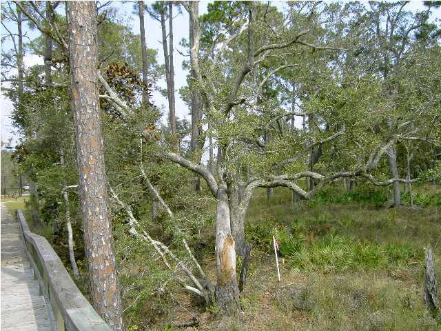 Lot # Harbour Trace Freeport, FL 32439 - Photo 3 of 7 Additional Photo