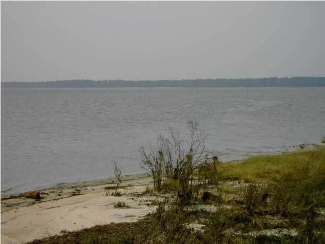 Lot # Harbour Trace Freeport, FL 32439 - Photo 5 of 7 Additional Photo