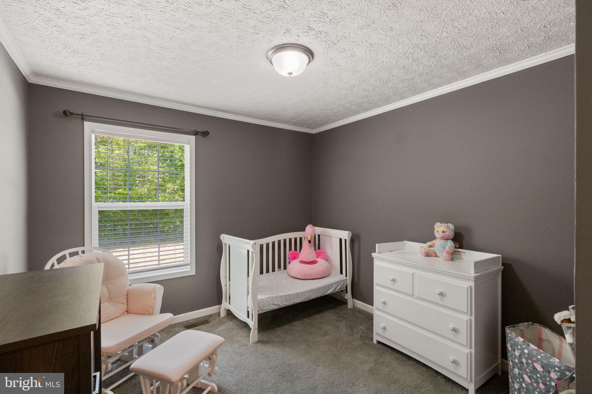 13115 Arcadia Road Woodford, VA 22580 - Photo 10 of 30 Bedroom