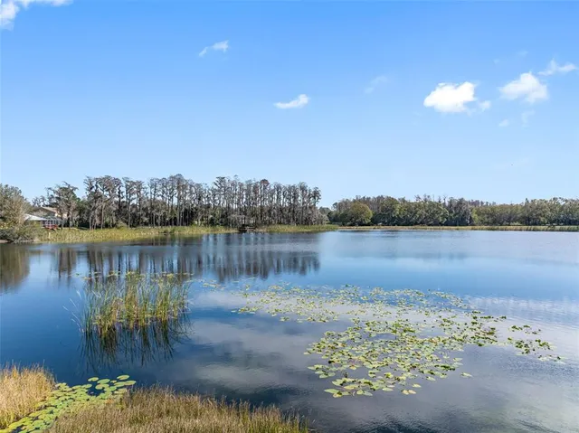 $895,000 | 1312 Brooke View Drive, Odessa, FL 33556