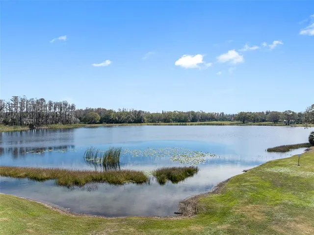 $895,000 | 1312 Brooke View Drive, Odessa, FL 33556