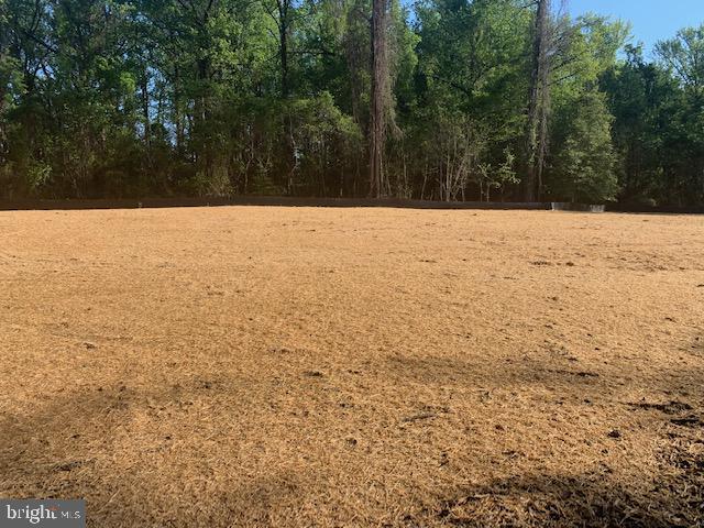430 Magothy Road Gibson Island, MD 21056 - Photo 27 of 40 Completed Site Cleared
