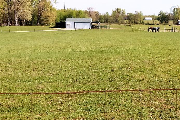1137 Robinson Road Manchester, TN 37355 - Photo 27 of 30 BARN W/ 6 ACRES