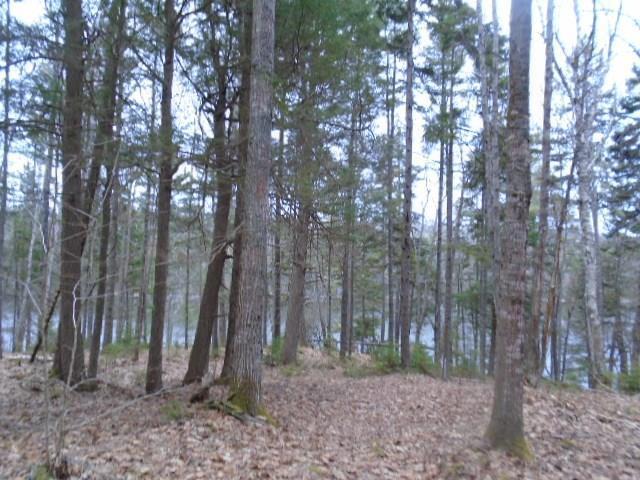 Lot D Lot D Young's Point Road Wiscasset, ME 04578 - Photo 11 of 12 20181010012912058302000000-o
