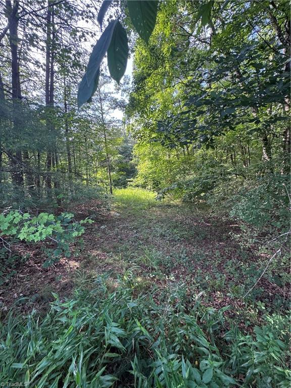 0 Johnson Road King, NC 27021 - Photo 14 of 14 Gallery Image 14