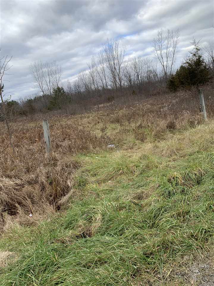 South Fordney Road Chesaning, MI 48616 - Photo 2 of 2