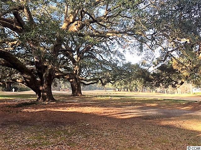 176 Wedgefield Village Road, Unit 17 Georgetown, SC 29440 - Photo 25 of 25 Gallery Image 25